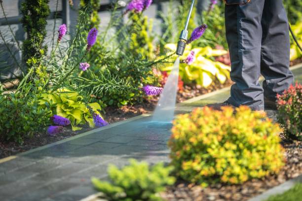 Best Restaurant Pressure Washing  in West Jefferson, OH