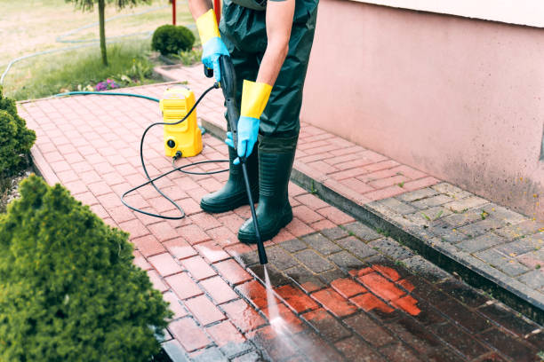 Best Animal Enclosure Cleaning  in West Jefferson, OH
